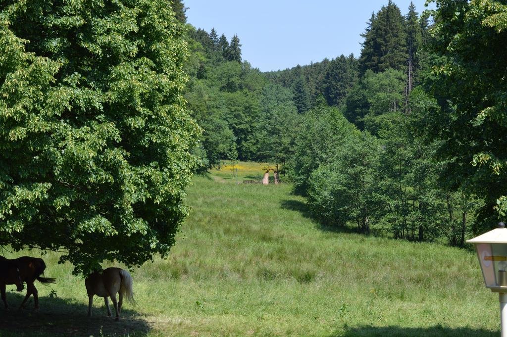 Natur & Wander Hotel Gassbachtal Grasellenbach Exterior photo