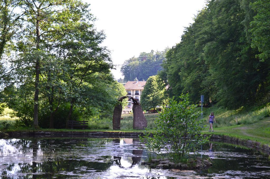 Natur & Wander Hotel Gassbachtal Grasellenbach Exterior photo