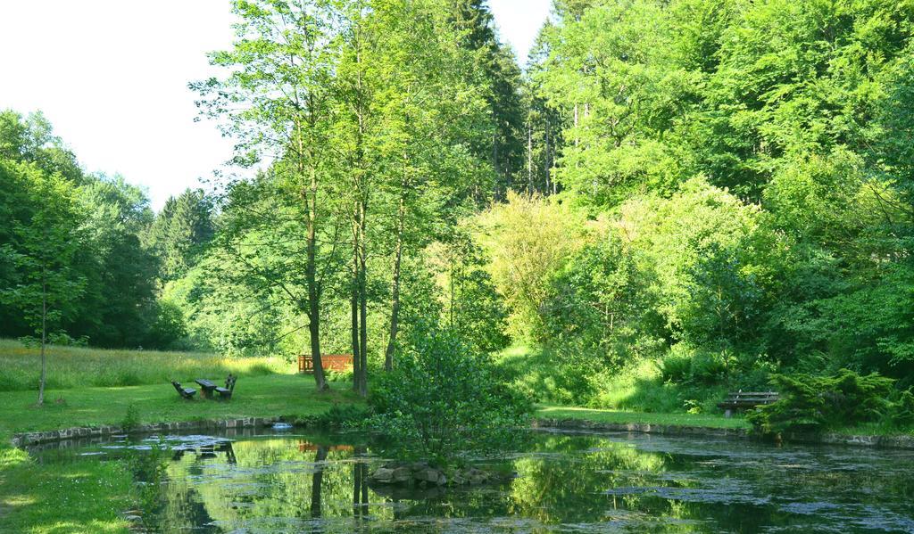 Natur & Wander Hotel Gassbachtal Grasellenbach Exterior photo