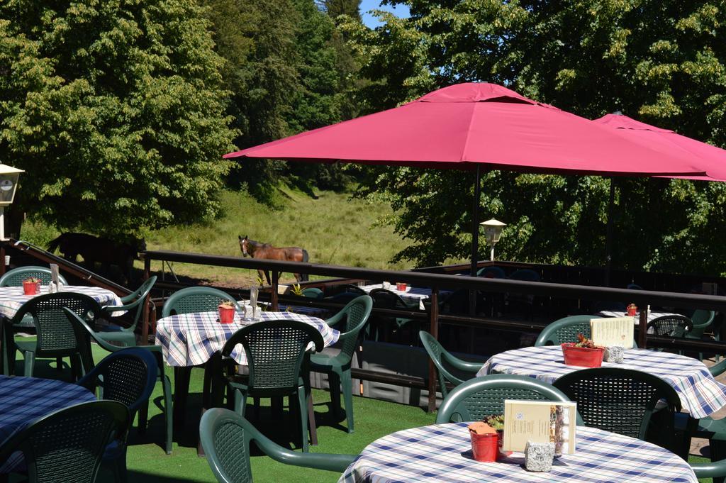 Natur & Wander Hotel Gassbachtal Grasellenbach Exterior photo