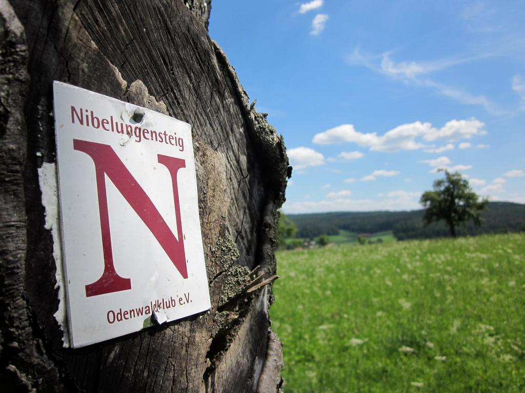 Natur & Wander Hotel Gassbachtal Grasellenbach Exterior photo