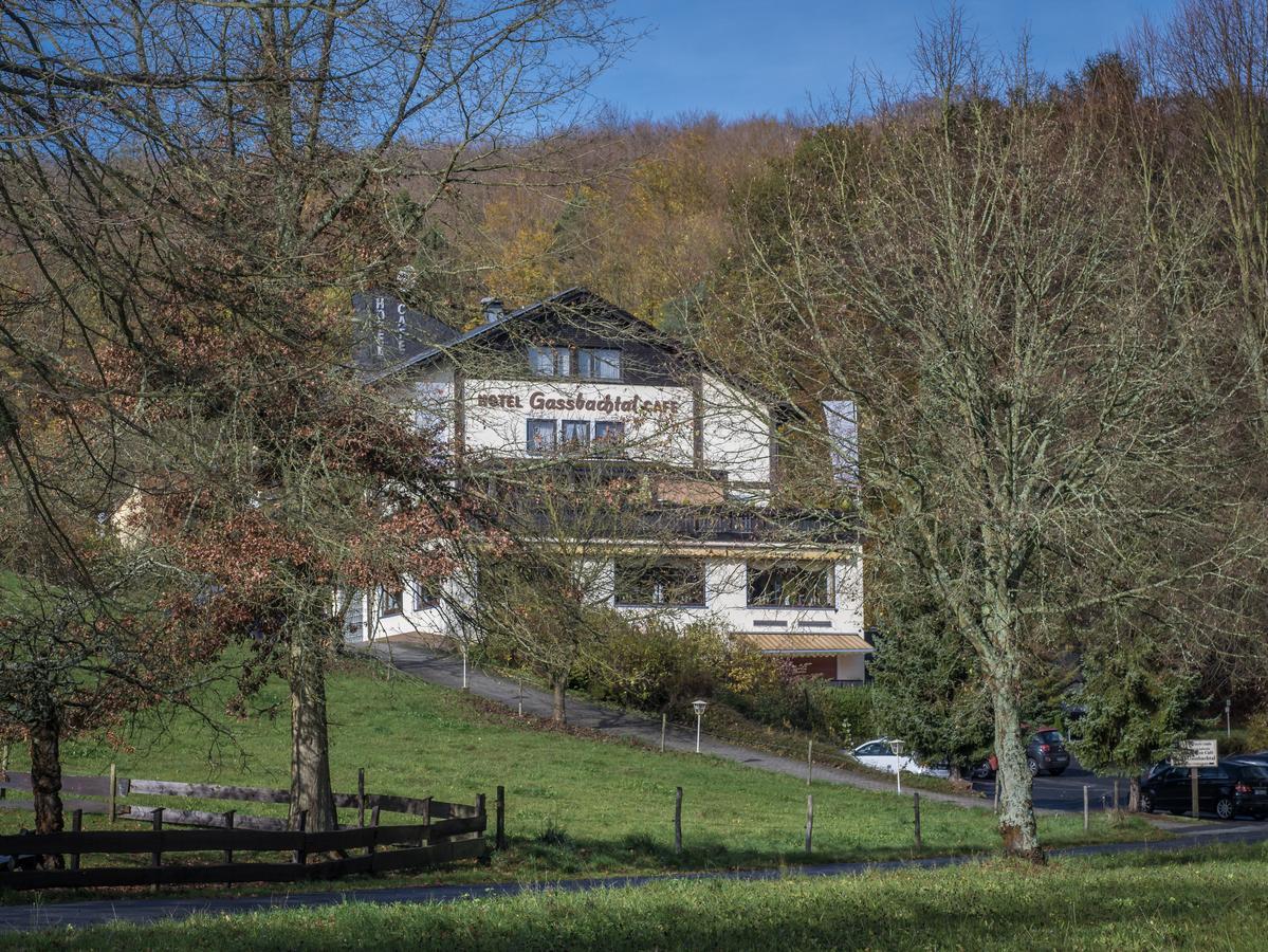 Natur & Wander Hotel Gassbachtal Grasellenbach Exterior photo